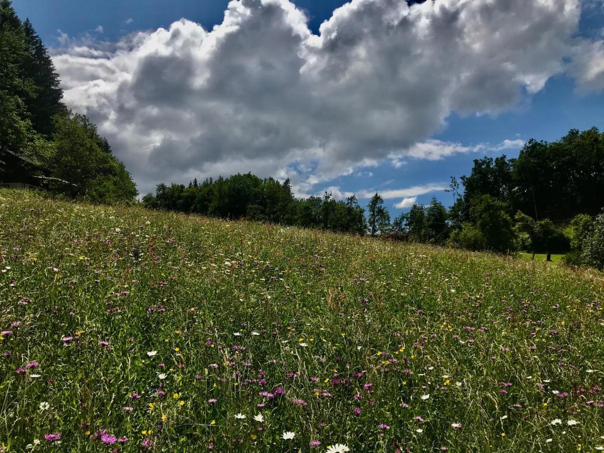 Gite Le Mazot De Vouan Saint-Andre-de-Boege ภายนอก รูปภาพ